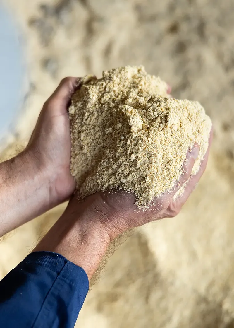 Afrecho de maíz con grasa de alta densidad proteica y calórica
