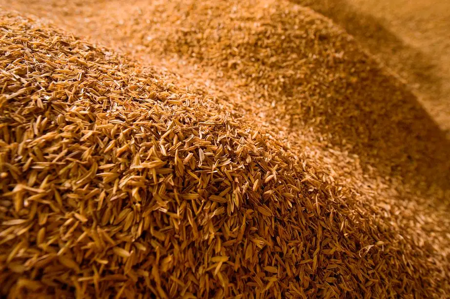 Cascarilla de arroz molida a 2 mm para formulaciones de nutrición animal